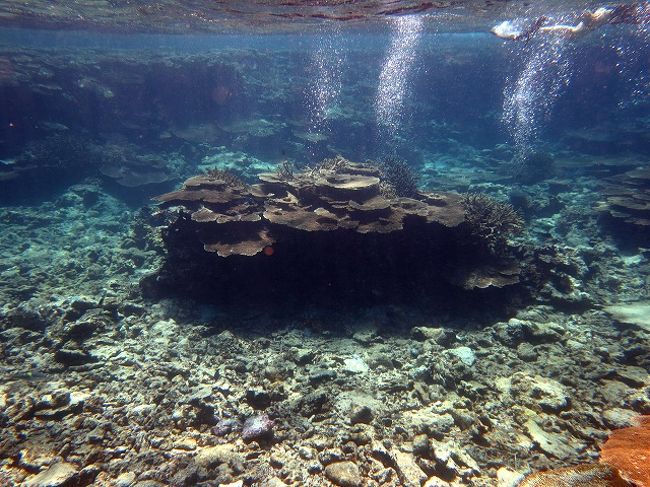　水に入ると、うねりで身体が大きく揺られ、シャッターを半押ししてピントを合わせる際、防水ケースのシャッターボタンの感覚が掴めず、最後まで苦労しました。<br />　<br />　特に動画を撮る際は、カメラも揺れるので、絵も大きく揺れていました。