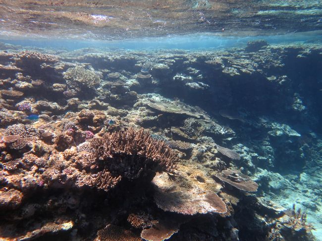 光のコントラストが難しいところですが、カメラの性能がカバーしてくれます。