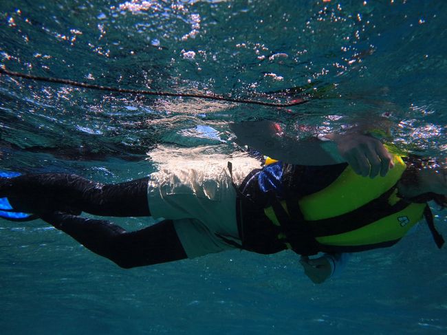 最初は、八重干瀬行きをためらっていたかみさんも夢中で泳いででいました。