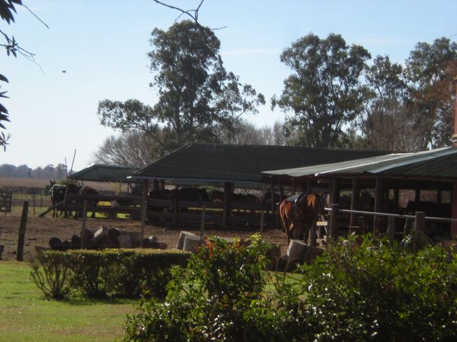 ウマがいっぱい<br /><br />牛はいなかった<br /><br />昔の暮らしの再現っぽいとこ<br /><br />こういう暮らしをする人たちをガウチョというらしい<br /><br />アメリカで言うカウボーイみたいな感じ。