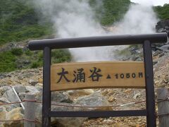 大涌谷は、約3000年前の箱根火山最後の爆発によってできた神山火口の爆裂跡。現在も火山活動中。