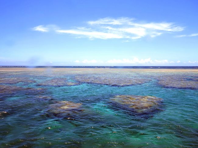 　午後のポイントへ移動します。　