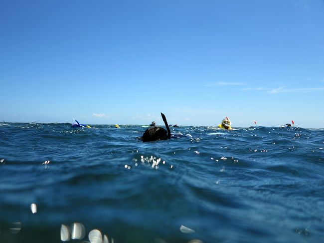 　今日のツアーも終了です。<br /><br />　本当にあっという間の1日でした。