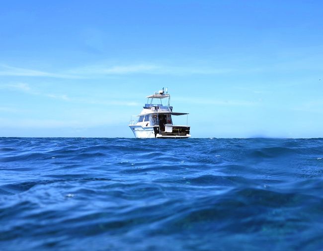 　八重干瀬の珊瑚礁、透き通った水。<br /><br />　残念ですが、夢の様な瞬間もそろそろ終わりです。<br /><br />　すぐにでも八重干瀬に戻って来たいけど次は、いつになるかなぁ。