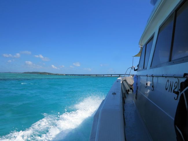 　池間大橋が見えてきました。<br /><br />　今回のツアーは、宮古島マレークルーズさんにお世話になりました。<br /><br />　キャプテンを初めスタッフの皆様、全てを忘れ夢のようなひと時でした。本当にありがとうございました。<br /><br />　たった１日で完全に八重干瀬中毒患者になってしまいました・・・。