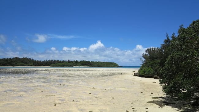 　海中公園に行く途中、潮が引いていたので、浜に下りて、ちょっと歩いてみました。<br /><br /><br />　<br />　