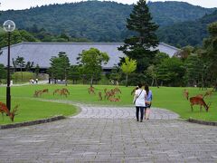 辺り一面、鹿と観光客だらけです。