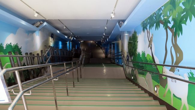 　さぁ、海中公園へ。<br />　<br />　この階段を下りていくと・・・。