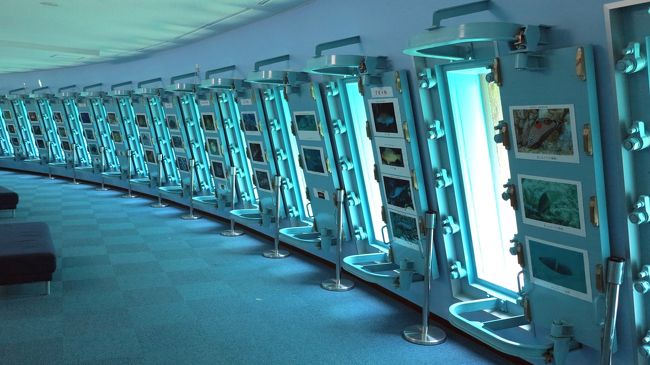 　海中公園の内部です。<br /><br />　２４個のアクリルパネルが、ずらりと並んでいます。<br /><br />　全ての窓に頑強な防水扉が取り付けられています。<br /><br />　台風接近の際は、防水扉を閉め、万一の事態に対応します。<br />