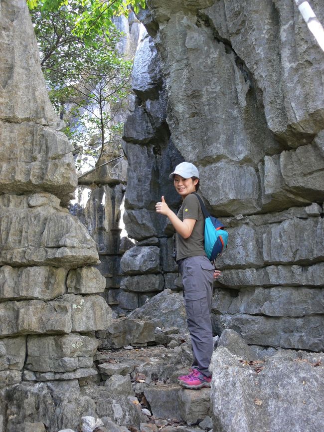 ここのツィンギーは中を歩き回れるようで・・・