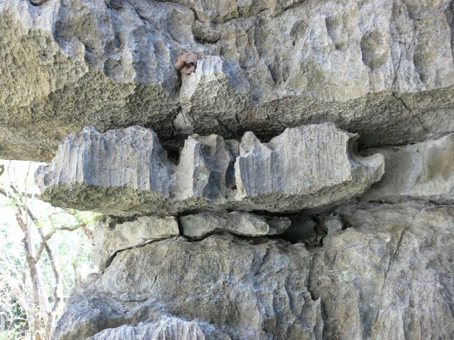 間近で見たらまた違う印象。
