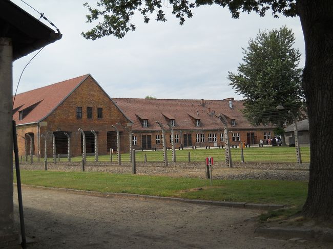 そこここにある有刺鉄線には高圧電流が流されていたらしい。