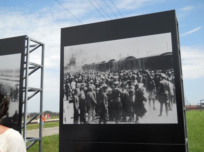 ビルケナウには複数の「ガス室」があり、遺体を焼却した後は灰<br />を池に捨てたらしい、もちろん池も見学。池の前には墓碑が。