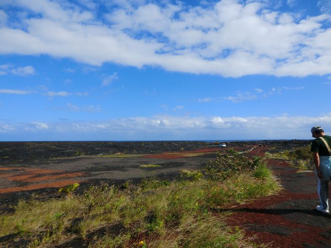 天気が良くて気持ちイイです。