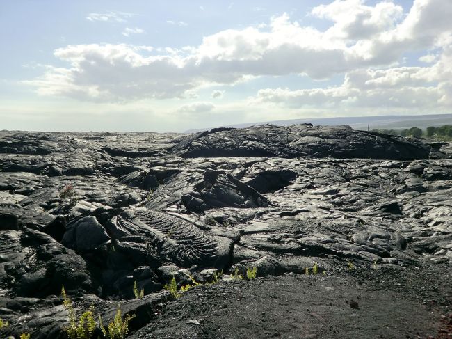 風はケッコーありました。