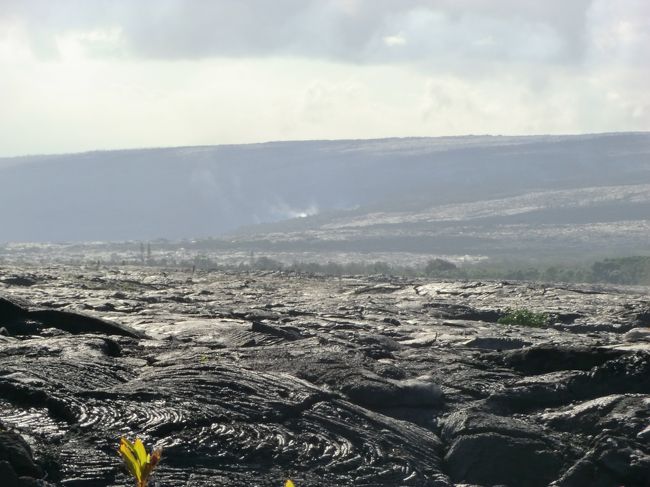 固まった溶岩の上を歩いてみました\(^o^)／