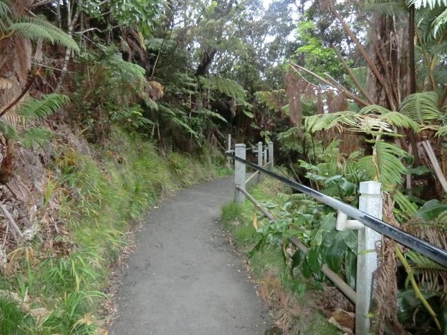 森の中を下っていくと<br />溶岩トンネルの入口があります。<br /><br />簡単なトレッキング（１５分程度だが）ができます。<br /><br /><br /><br /><br /><br />もちろん、<br />帰りは上り坂です(^^ゞ