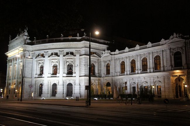ウィーン帰還後は美術史博物館と夜景を見に行こう！～2011オーストリアも二度目なら　その８