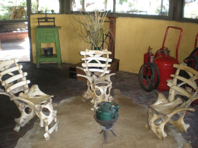 骨で作ったいすが。。。<br /><br />リアルだ