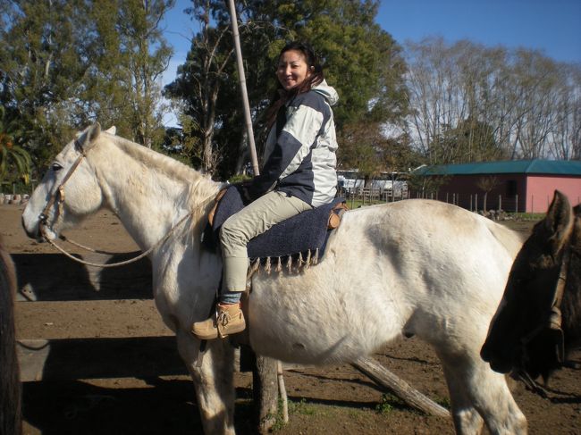 乗馬もできます。ツアー費に含まれています