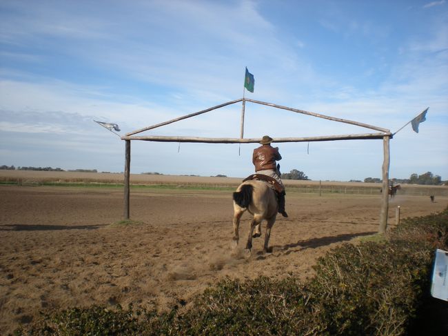 木枠の中に棒らしきものがさがっていて、その先に輪っかのピンがささっている<br /><br />それを馬で走ってきて手に持ってる棒で輪っかを撮るという競技<br /><br />おじちゃんから若者まで4人でやったが、さすがに若者の馬は早さが違うし、失敗しない<br /><br />素晴らしい<br /><br />そのあとキスと引き換えに輪っかをくれます