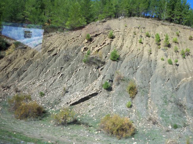　　山間部に入り断面の地層には貝殻も見えています。<br /><br /><br />