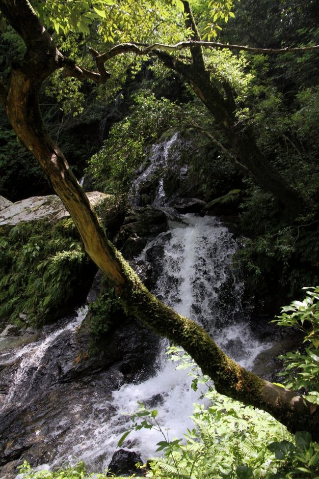 Amazon.co.jp: 絶版◇◇写真集 島根の滝◇◇島根県の名瀑 玉峰山