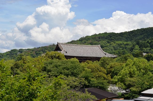 目を転じると東大寺南大門、その右には二月堂が微かに見えます。<br /><br />