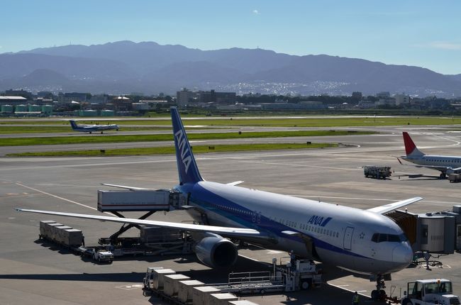 楽しかった３連休ももう終わり！<br />帰りも飛行機で、大阪空港から羽田空港へは飛行時間１時間ちょっと、あっというまに到着です。<br /><br />奈良、本当に素晴らしい街でした。<br />秋頃に、また再訪しようかと考えています。