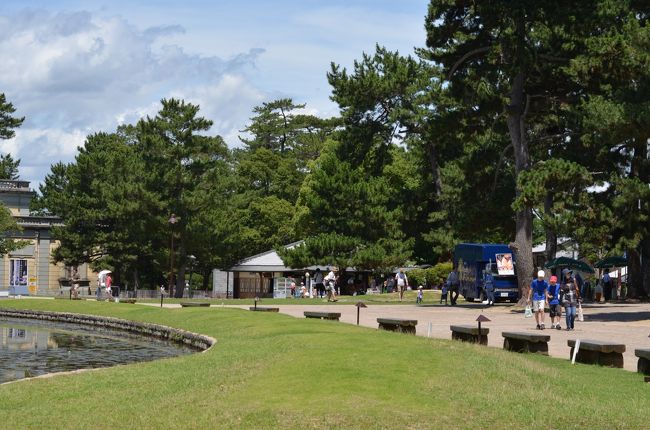 国宝を鑑賞した後は、また何か食べたい！