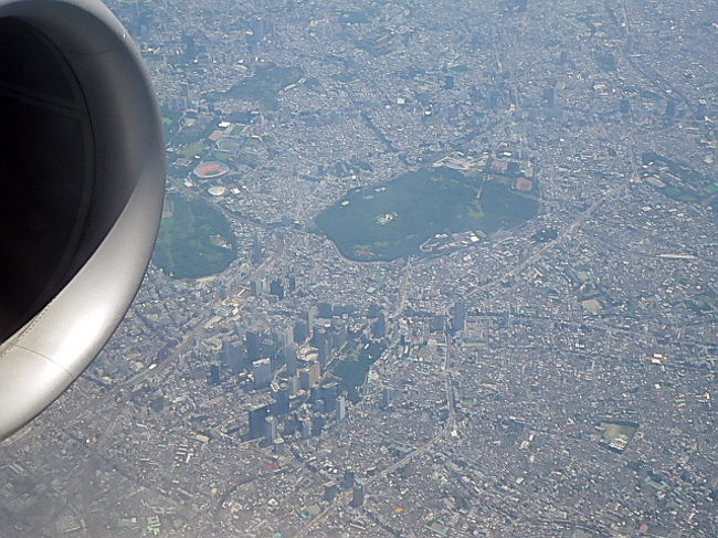 雲も少なく、新宿御苑や副都心の高層ビルも上空からは小さく見えます。