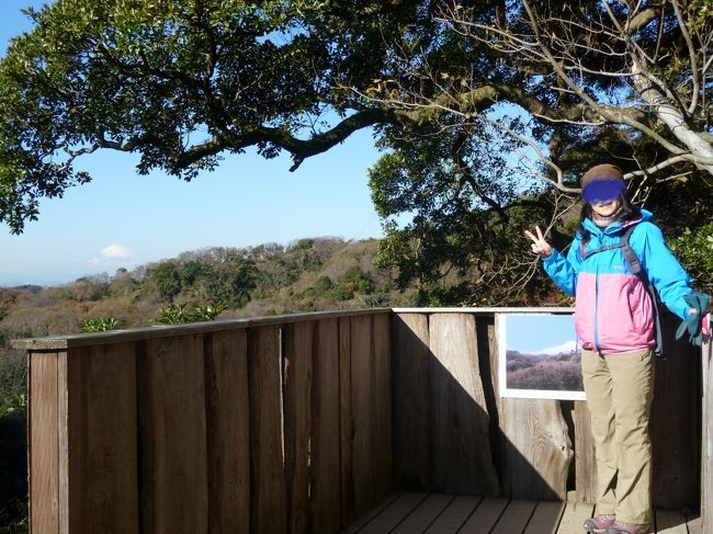 展望台からは富士山が望めました！