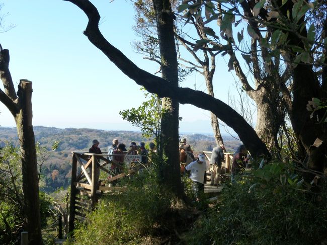 平日だけれど、紅葉の季節なので結構混みあいます