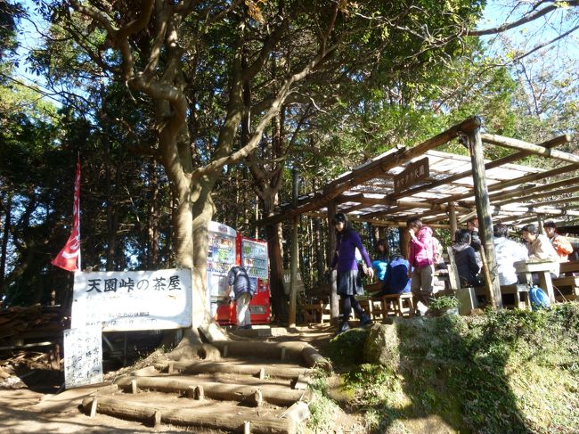 天園峠の茶屋からは下り坂