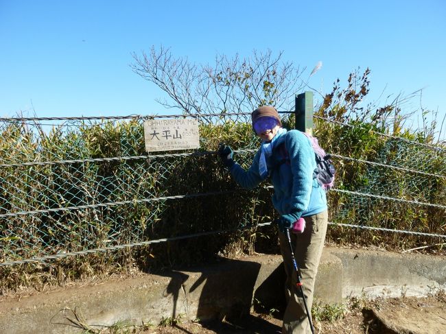 大平山山頂　　１５９ｍ<br />ここからは特に視界は開けません