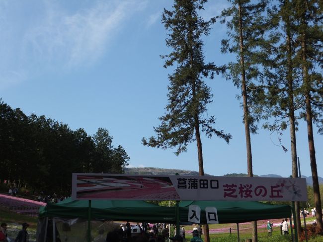 アクセス<br />鉄道<br />・西武鉄道横瀬駅から徒歩約1.4km、西武秩父駅から徒歩約1.5km<br />・秩父鉄道御花畑駅（芝桜駅）から徒歩約1.5km<br /><br />車<br />関越自動車道花園ICから国道140号、皆野寄居バイパス利用約25km<br />圏央道狭山日高ICから国道299号を約39km<br /><br /><br />菖蒲田口から入場しました。