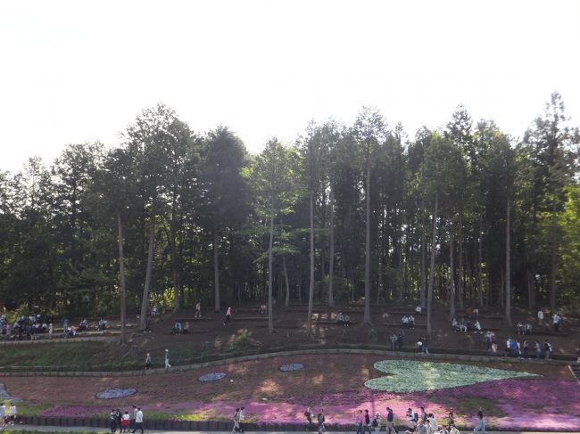 *･゜ﾟ･*:.｡..｡.:*･ハート