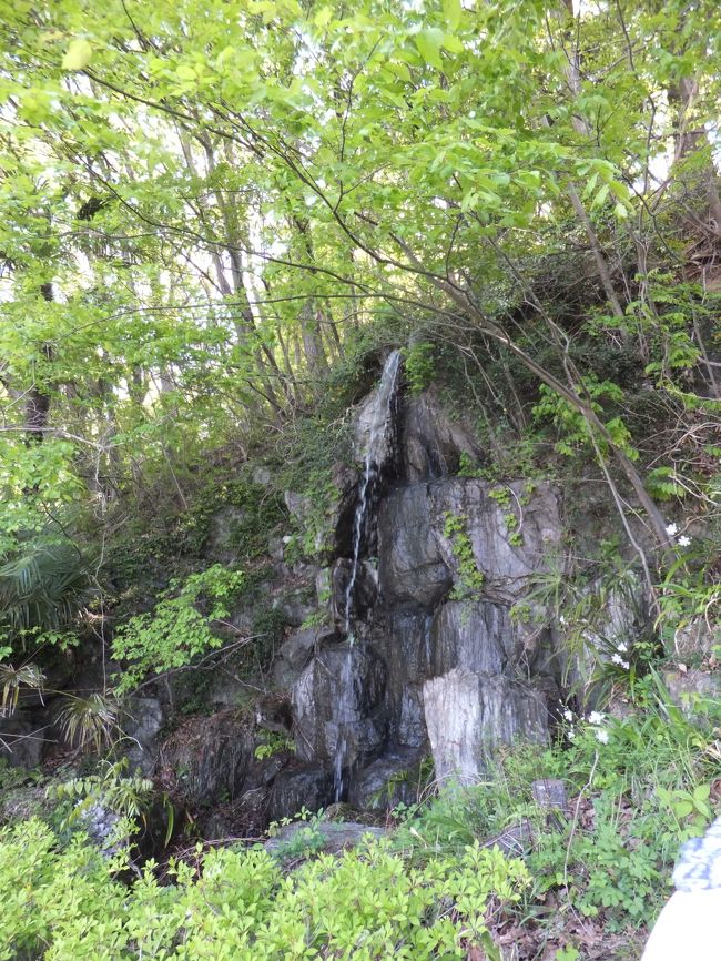 昨年、あまりにも小さい滝でびっくりしたけど、今年も相変わらず小さい（変わるわけないけど）