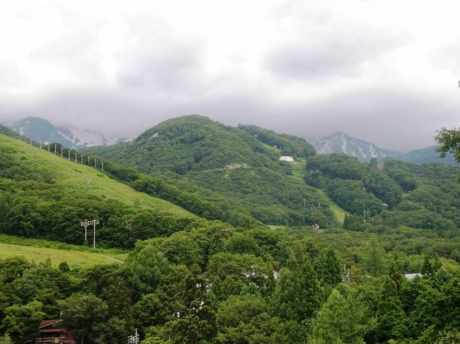 今朝は山が雲に隠れています。