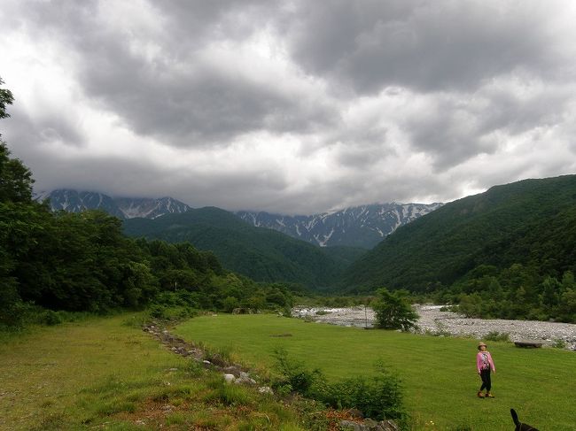 芝の公園に出ます。