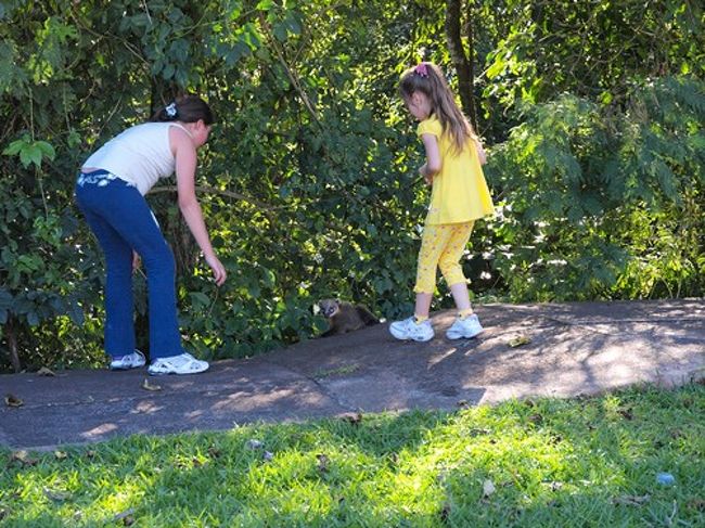 子供達が見つめているのはアライグマです。滝見物はこの道を右方向に歩きます。