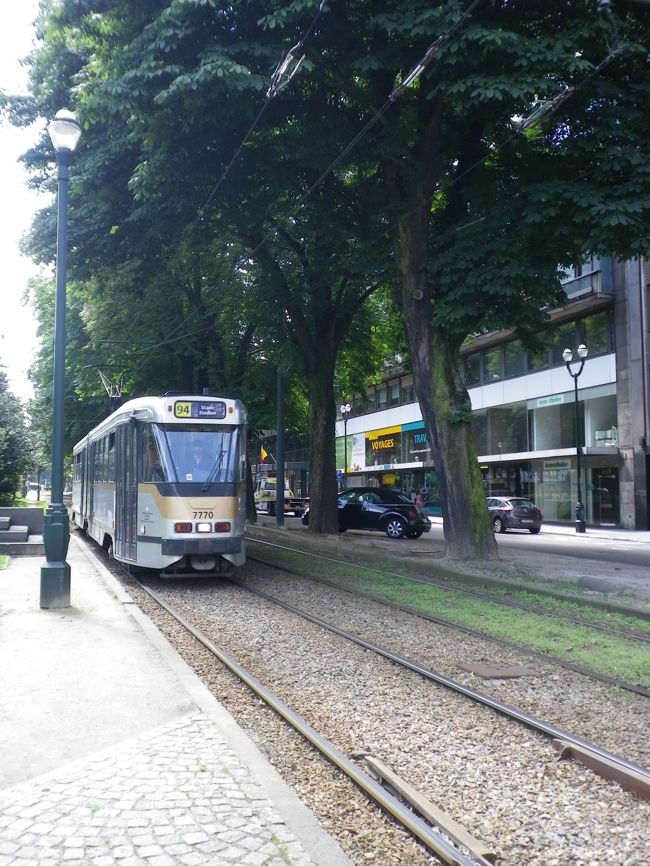 ありふれた風景なんだけど、<br />トラムの写真を撮ろうと構えていたら、<br />後ろから「危ない、危ない」と煩い旦那。<br /><br />