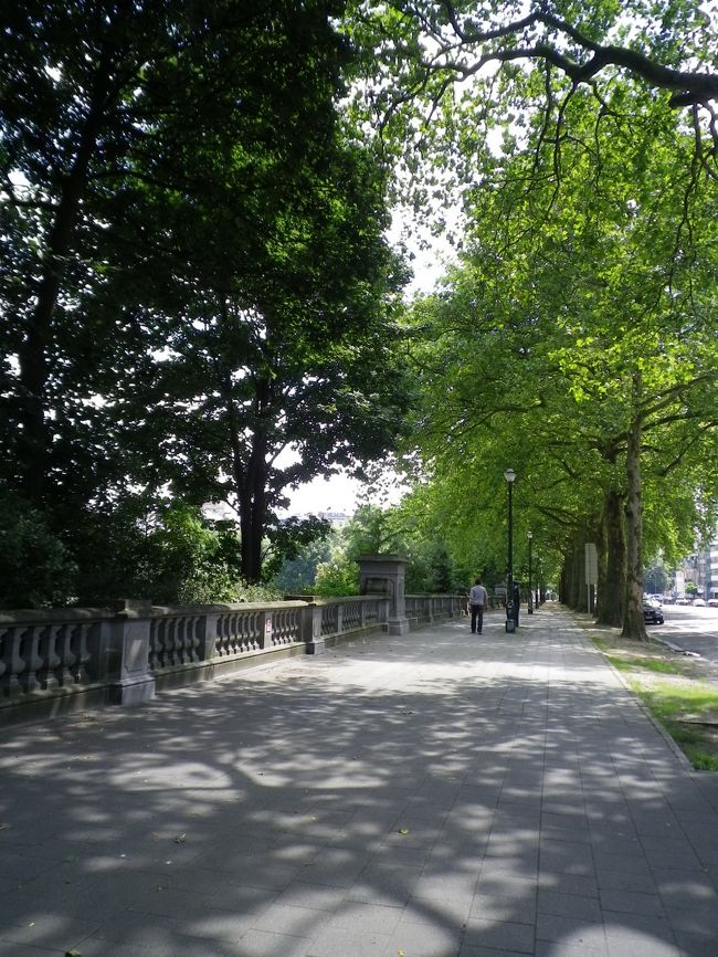 天気もいいし、緑がいっぱいで清々しい♪