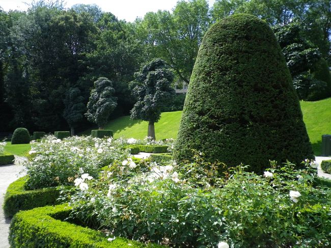 お庭がとっても綺麗に整備されています。