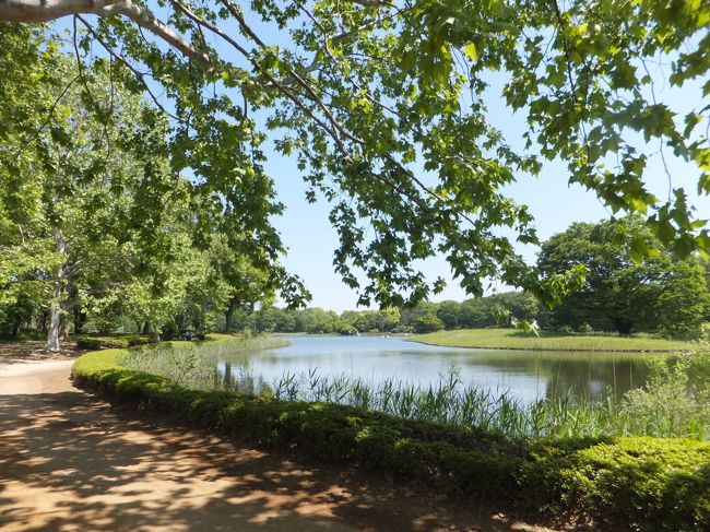 昭和記念公園<br /><br />アクセス：JR中央線・立川駅より約10分<br />　　　　　多摩都市モノレール・立川北駅より約8分<br /><br />入園料：大人（15歳以上）400円<br />　　　　小人（小・中学生）80円<br />　　　　シルバー（65歳以上）200円