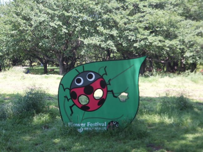 顔ハメ看板（てんとう虫編）