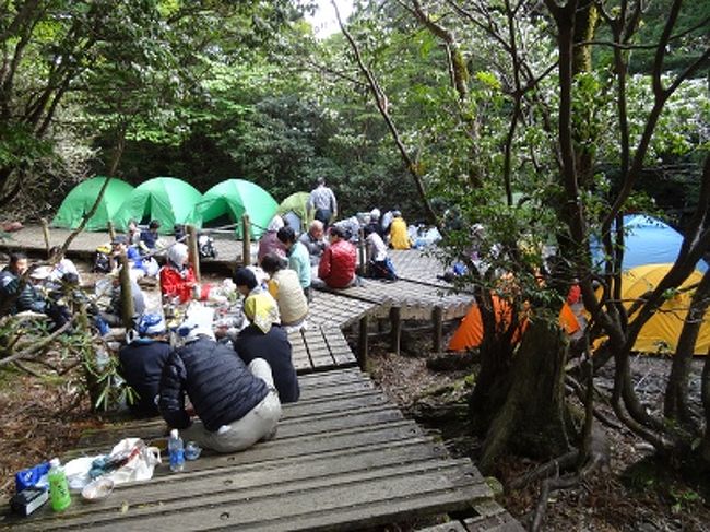 屋久島と山ガール そしてヤバ過ぎる雨の日 最速の縄文杉トレック 新高塚小屋 屋久島 鹿児島県 の旅行記 ブログ By 世界攻略者さん フォートラベル