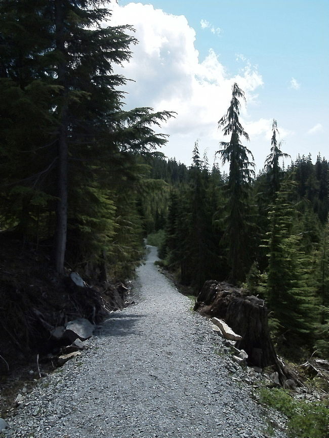 トレイルはたくさんあるけれど、広いトレイルを選んで行くことにしました。