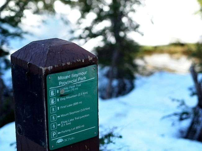 展望ポイントから、ファーストレイクの方へ行こうとするが、雪に埋もれてトレイルがわからなくなってました。<br /><br />とにかく上まで行けば、どこかでメインのトレイルに出るはず。<br /><br />また雪の上を滑りながら歩いていきます。<br />