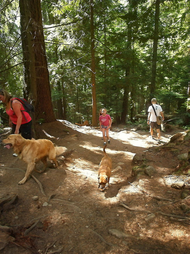 犬も子供も、お散歩ついでに登ってきます。<br />